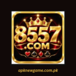8557 game logo image